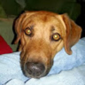 Meet your Posher, Deedee